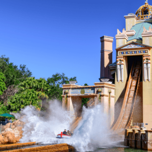 Niet te missen… – Water coasters