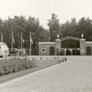 En ze leefden nog lang… – 70 jaar Efteling 