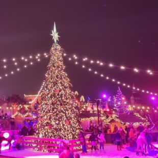 Nieuw – Bright Nights (Walibi Holland) en Winter Feelings (Toverland)